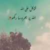 user951575208