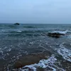 vinhvinhngoduc