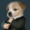 topsonm