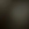 wdswrt1234