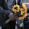 may.kvr