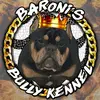 baronisbullykennel