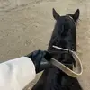 booww111