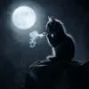 barabashkkaaa