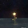amaya_561