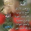 user225223623
