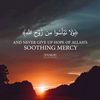 hjazymohamdhjazy33