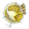 fouadhazaza