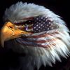 americangal01