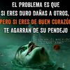 user57816498