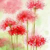 lannguyen0697