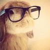 maidraft__