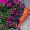 PhanNgânMK (Quậy Bún_Trộn Mì)
