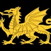 adiebarratt666