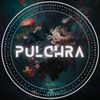 pulchra_art