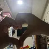 aegail