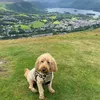 noah.williams11