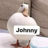 johnnybravo996