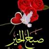 jamil_jamal7