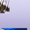 evellynrodrigues129