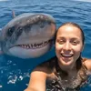 The Shark Mommy