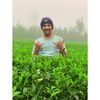 thiva85