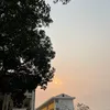 nguyenmanhtruong3