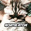 mohtik_atom