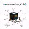 haiderali1237565