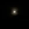 aleh_mateus64