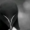 __7ama_58