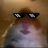 edgaryt04