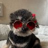 lilmspixie
