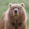 bear_w1th_glasses