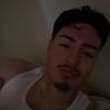 panter_441