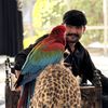 manishah058