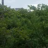 user904209480