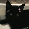 jdenlngtoh