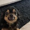 bellaontherox