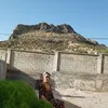 vivelalibirtad