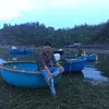 anhloxe88