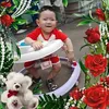 bobo02122018