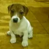 elisa.giammona7
