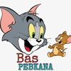 bas0pebkana