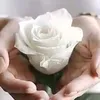 lilii_francooo