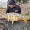 kylethompson353