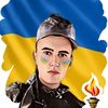 nikitek24