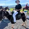 rzt.joao