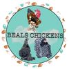 bealschickens