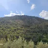 lambrija1991